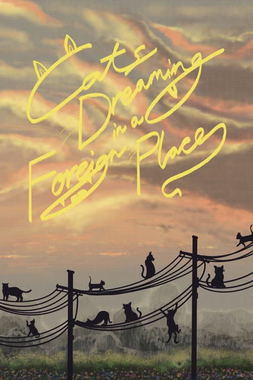 Cats Dreaming in a Foreign Place