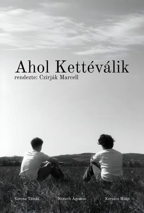Ahol Kettéválik